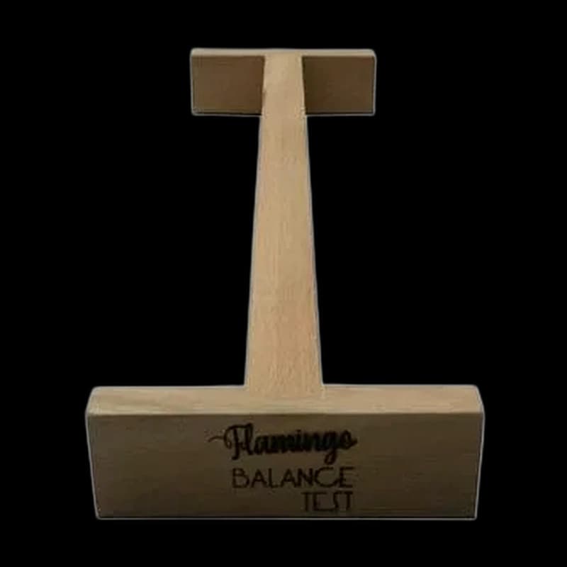 Flamingo Balance Test (EFL)
