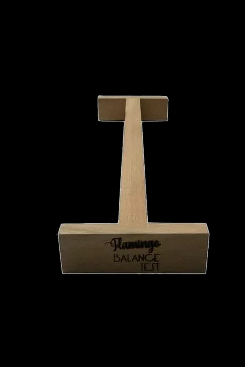Flamingo Balance Test (EFL)